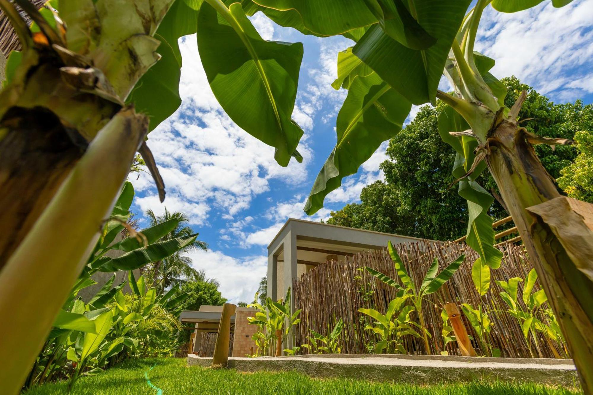 Pousada Mirai São Miguel dos Milagres Exterior foto